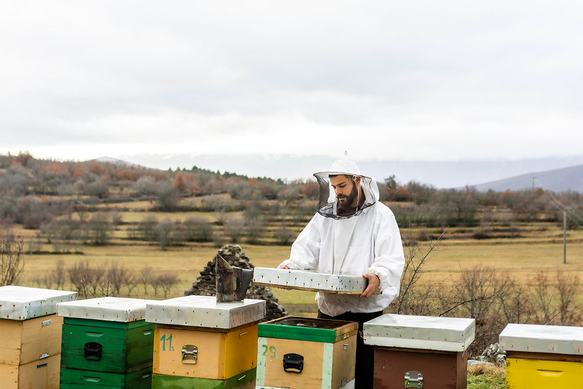 Arı Besleme Yemlikleri