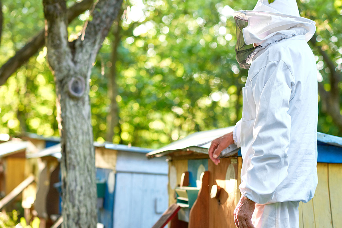 Bal Eritme ve Dinlendirme Kazanları