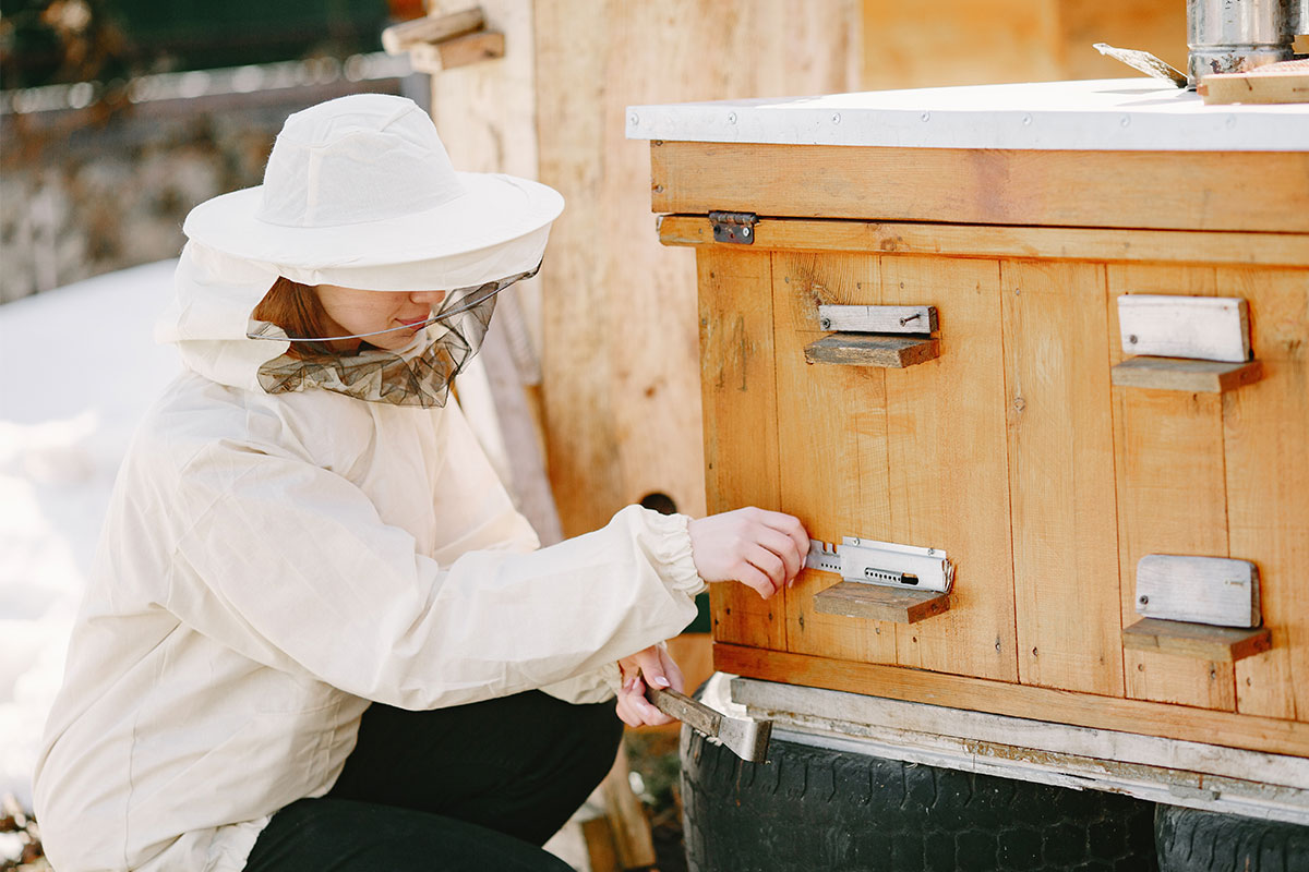 Arıcılık El Aletleri