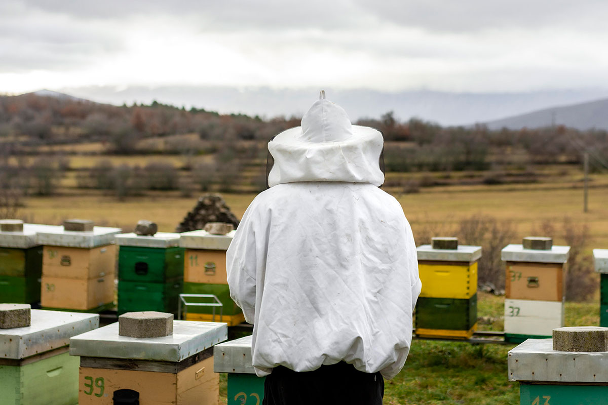 Arıcı Koruyucu Kıyafetleri