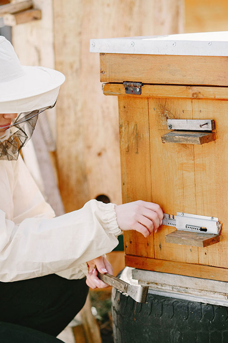 Arı Kovanı ve Ekipmanları