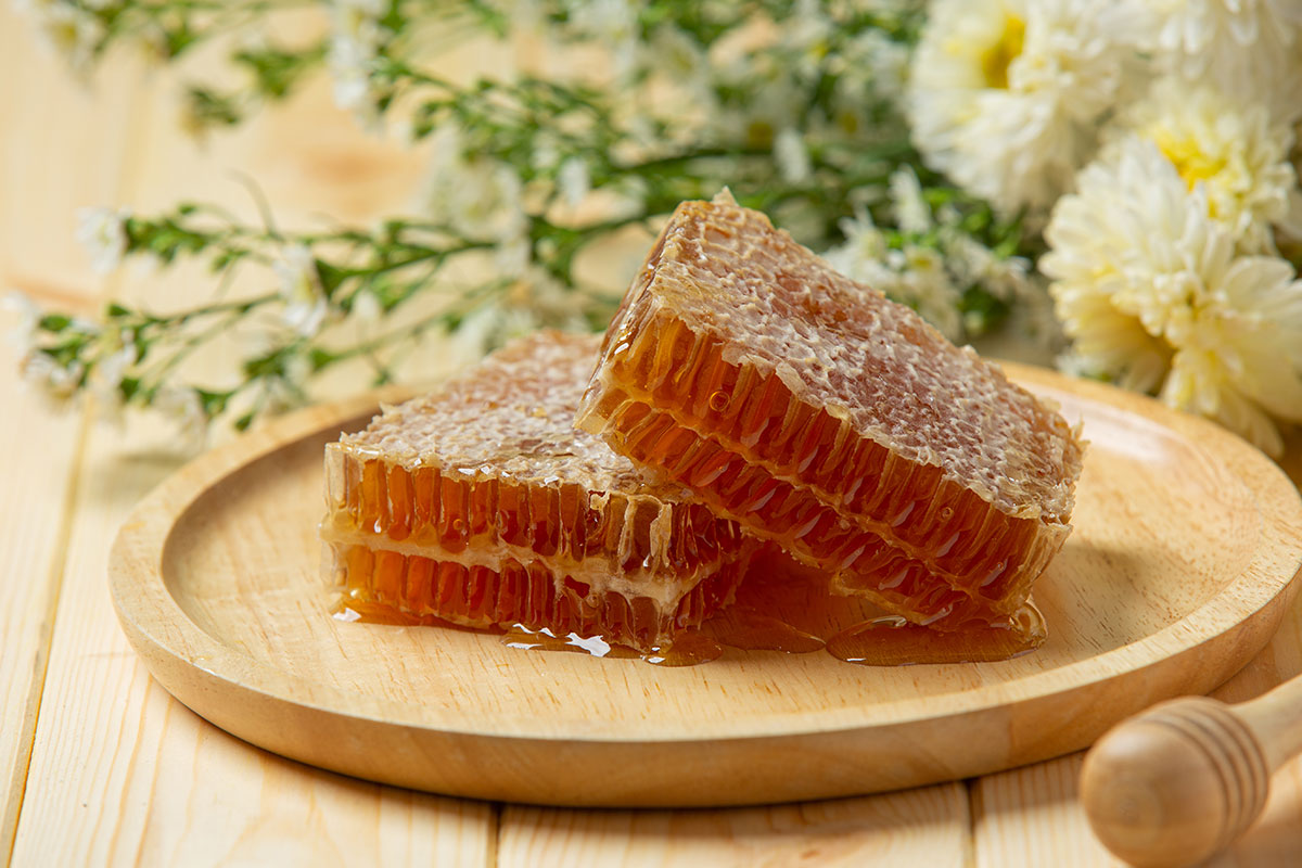 Ana Arı Üretim Malzemeleri